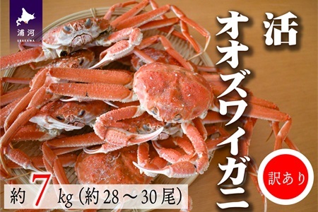 訳あり ゆでオオズワイガニ約7kg(約28～30尾入)[02-1412]