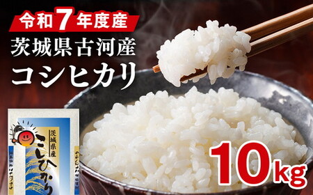 令和7年産 古河市のお米 コシヒカリ 10kg(5kg×2袋）｜米 着日指定OK ※2025年9月上旬頃より順次発送予定 _DP90