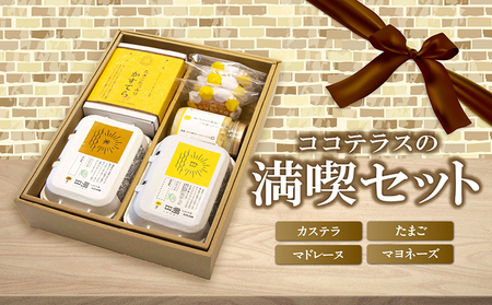 ココテラスの満喫セット ココテラス デイリーファーム セット カステラ マドレーヌ マヨネーズ たまご 卵 朝日 明日 スイーツ お菓子 プレゼント 贈り物 ギフト ギフトセット お取り寄せ 愛知県 常滑市