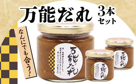 万能だれ3本セット 白長ねぎ 調味料 調味 薬味 万能調味料 ごはんのお供 おつまみ つまみ おかず お弁当 高千穂町産 国産 特産 特産品 加工品 加工食品 グルメ 贈答 贈り物 ギフト プレゼント お祝い 内祝い 普段使い お取り寄せ 宮崎県 高千穂町 _Tk050-008
