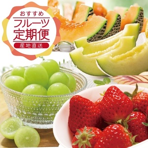SE0466　【3回定期便】農家直送 おすすめのフルーツ定期便2026 (いちご、庄内メロン、青ぶどう)
