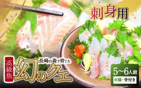長崎の森で育てた『幻のクエ』 刺身用 5～6人前（1kg～2kg前後）／ 海鮮 魚介 刺身 クエ 鍋 高級魚 長崎県 長崎市