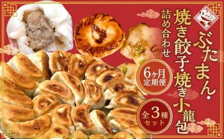 【全6回定期便】【詰め合わせ】ぶたまん20個×焼餃子10個×焼小籠包8個 ／ 中華 点心 惣菜 豚まん ギョーザ セット 詰め合わせ 長崎土産 長崎県 長崎市