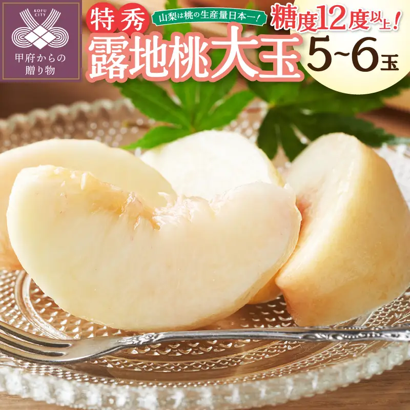 〈2026年度配送分〉糖度12度以上！特秀 露地桃大玉 5-6玉〈約1.8kg〉（2026年7月上旬～下旬にかけて順次配送予定）