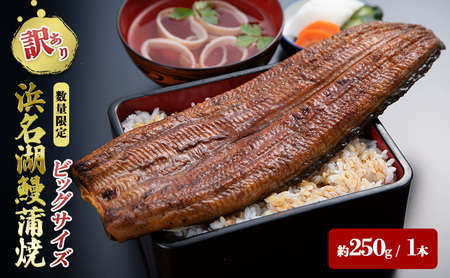 訳あり 国産 うなぎ 一般の約2倍 数量限定 蒲焼き 1本 250g 浜名湖産 鰻 特大 冷凍 浜松