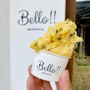 【無添加・無着色】手作り ジェラート プレミアムアソート C｜野洲市 手作りジェラート 無添加 無着色 自然素材 滋賀県産 スイーツ デザート 冷凍 お取り寄せ 通販 ふるさと納税｜