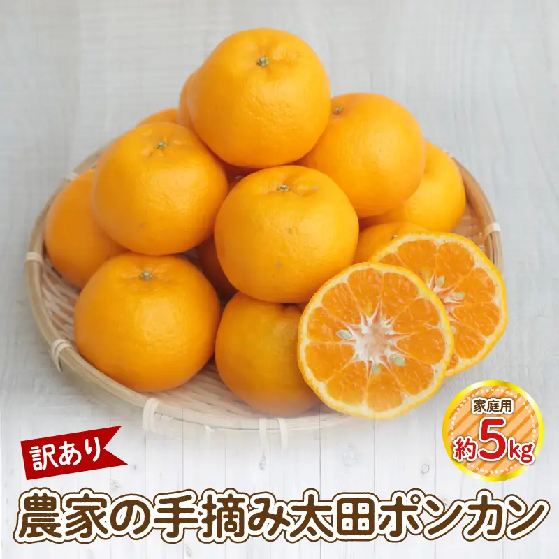 S040-027_【訳あり】農家の手摘み 太田 ポンカン 家庭用約5kg