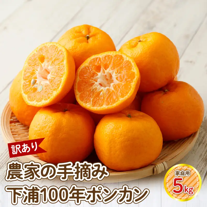 S040-029_【訳あり】農家の手摘み　下浦100年ポンカン　家庭用　5kg