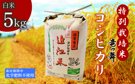 こしひかり 白米 5kg 2025年産 竜の舞 特別栽培米 国産 安心 安全 近江米 米 お米 白米 お弁当 玄米 産地直送 滋賀県 竜王町 送料無料