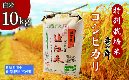 こしひかり 白米 10kg 2025年産 竜の舞 特別栽培米 国産 安心 安全 近江米 米 お米 白米 お弁当 玄米 産地直送 滋賀県 竜王町 送料無料