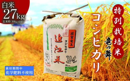 米 こしひかり 白米 27kg ( 9kg × 3袋入 ) 2025年産 竜の舞 化学肥料不使用 特別栽培米 玄米 時容量 30kg (10kg × 3袋) 国産 安心 安全 近江米 米 お米 白米 お弁当 玄米 産地直送 滋賀県 竜王町 送料無料