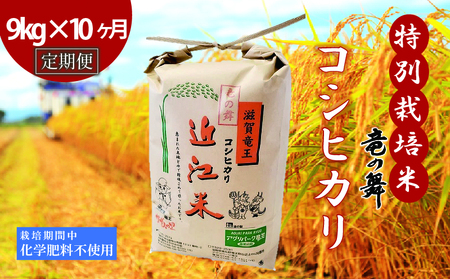 【定期便10回コース】 米 こしひかり 白米 9kg×10回 2025年産 竜の舞 化学肥料不使用 特別栽培米 玄米 時容量 10kg 国産 安心 安全 近江米 米 お米 白米 お弁当 玄米 産地直送 滋賀県 竜王町 送料無料