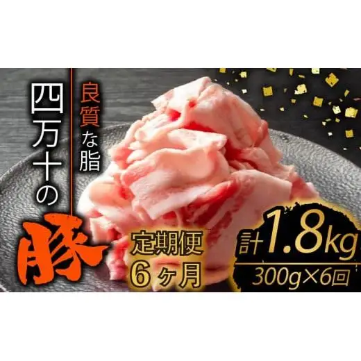 【 切り落とし 】 豚肉定期便 切り落とし 全6回 計1.8kg （300g×6ヶ月)