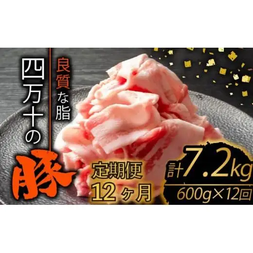 【 スライス 】 豚肉定期便 スライス 全12回 計7.2kg （600g×12ヶ月)