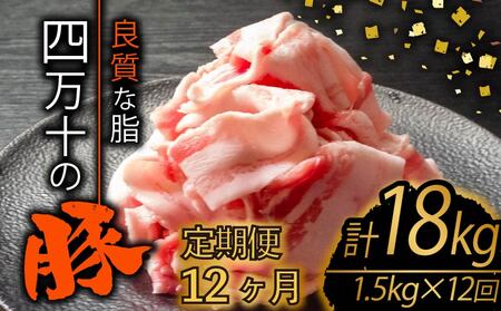 【 豚肉 】 豚肉定期便 全12回 計18kg （1.5kg×12ヶ月)