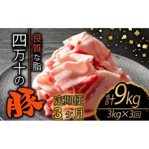 【 豚肉 】 豚肉定期便3ヶ月9kg