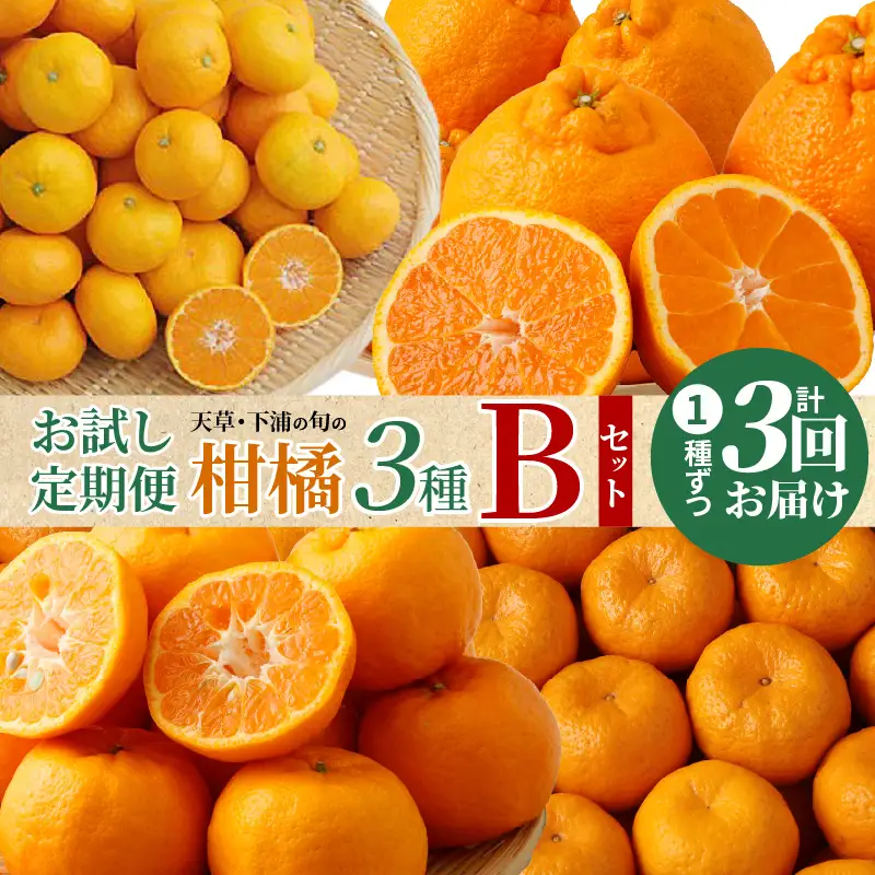 S040-T09_【お試し定期便】天草・下浦の旬の柑橘3種Bセット