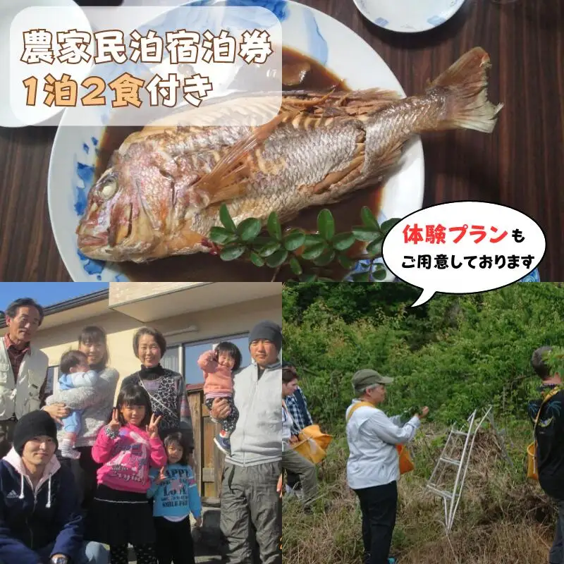 和歌山県の農家民泊 未来農園 宿泊券 1名様分 1泊2食付きプラン（夕食・朝食の2食） 和歌山県田辺市 /  農家 民泊 旅行 宿泊  食事付き 旬食材 癒し 自然 田舎 体験 宿 和歌山 田辺市【mri001】