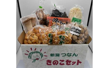 きのこ 食べ比べセット 8種 約1600g |津南町 きのこ