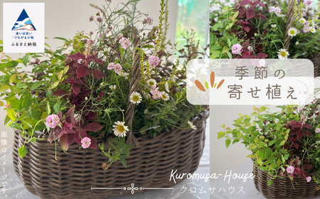 季節の寄せ植え《籐籠》花 
