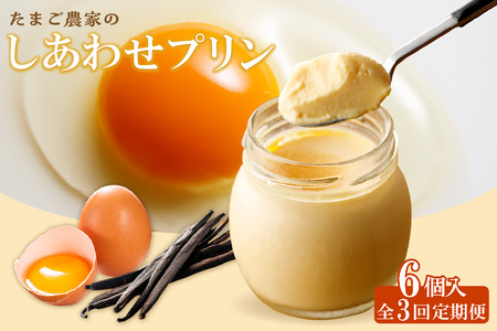 【定期便3ヶ月】たまご農家のしあわせプリン 6個セット デイリーファーム たまご 幸せ プリン 瓶入り デザート スイーツ おやつ 卵 鶏卵 ココテラス なめらかプリン 洋菓子 米卵 常滑牛乳 お菓子 ギフト プレゼント グルメ お取り寄せ 愛知県 常滑市 定期便