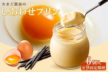【定期便9ヶ月】たまご農家のしあわせプリン 6個セット デイリーファーム たまご 幸せ プリン 瓶入り デザート スイーツ おやつ 卵 鶏卵 ココテラス なめらかプリン 洋菓子 米卵 常滑牛乳 お菓子 ギフト プレゼント グルメ お取り寄せ 愛知県 常滑市 定期便