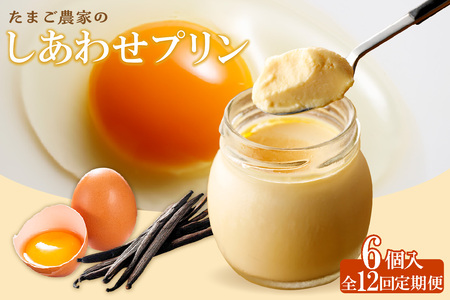 【定期便12ヶ月】たまご農家のしあわせプリン 6個セット デイリーファーム たまご 幸せ プリン 瓶入り デザート スイーツ おやつ 卵 鶏卵 ココテラス なめらかプリン 洋菓子 米卵 常滑牛乳 お菓子 ギフト プレゼント グルメ お取り寄せ 愛知県 常滑市 定期便