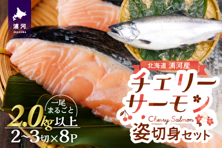 漁吉丸の船上活〆チェリーサーモン姿切身 甘塩仕立て(2.0kg以上)[15-1404]