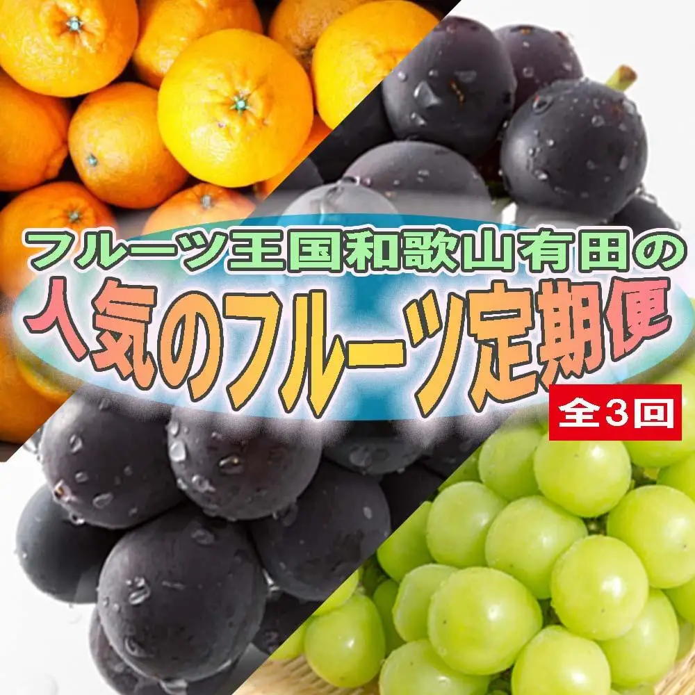 定期便全3回【3月・8月・9月発送】フルーツ王国和歌山の人気フルーツ定期便（不知火・たねなし巨峰・シャインマスカット）