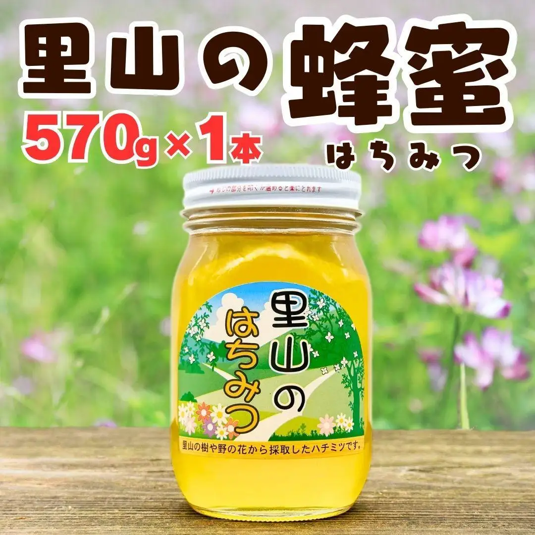 ありだ里山の蜂蜜 570g 化粧箱入り