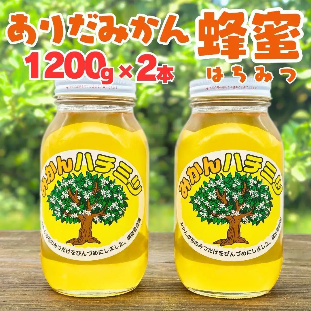 ありだみかん蜂蜜 1200g×2本セット