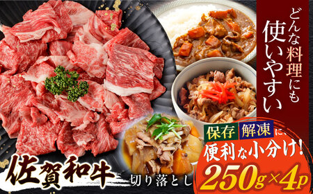 牛肉切り落とし 計1kg NAC031 牛肉