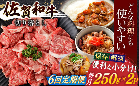【定期便】牛肉切り落とし 計500g NAC163 牛肉 全6回