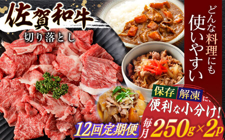 【定期便】牛肉切り落とし 計500g NAC164 牛肉 全12回