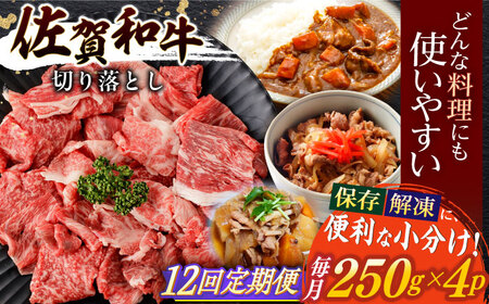 【定期便】牛肉切り落とし 計1kg NAC167 牛肉 全12回