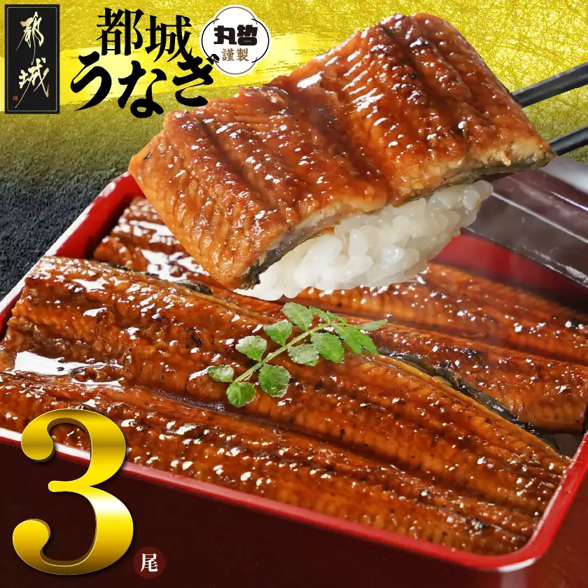宮崎県育ちのうなぎ蒲焼3尾500g以上≪山椒・たれ付≫〔AC-M301〕_(都城市) うなぎ蒲焼(有頭) 宮崎県産 真空 山椒・たれ付