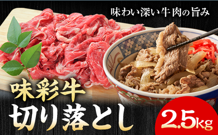 味彩牛 切り落とし 2.5kg（500g×5パック） のぐち産業株式会社《90日以内に出荷予定(土日祝除く)》熊本県 菊池市 牛肉 スライス お肉 精肉 熊本県産 九州産 国産 冷凍 送料無料