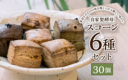 スコーン6種セット 30個入 ／ 合計約1200g スコーン 洋菓子 焼菓子 焼き菓子 お菓子 菓子 おやつ 詰め合わせ 長崎県 長崎市