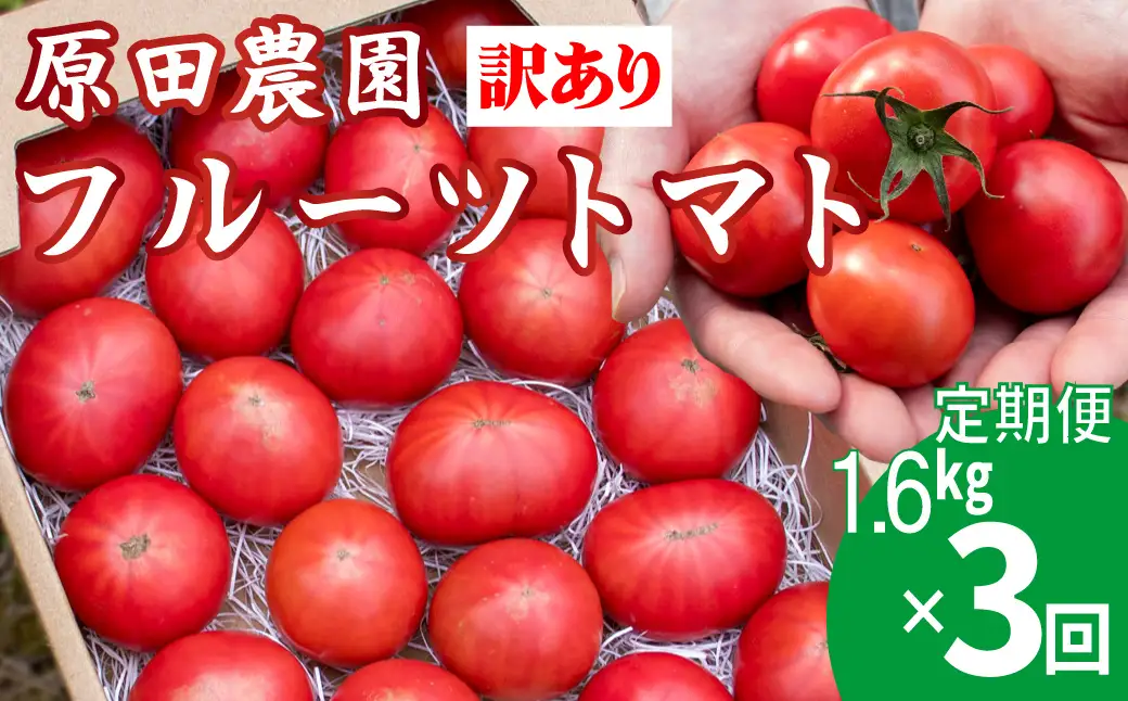 【ふるさと納税】〈2026年12月下旬～順次発送〉訳あり 3回 定期便 フルーツトマト 原田農園＜1.6kg 箱入＞ 桃太郎【常温】送料無料 家庭用 ワケあり 変形 キズあり 高知県　