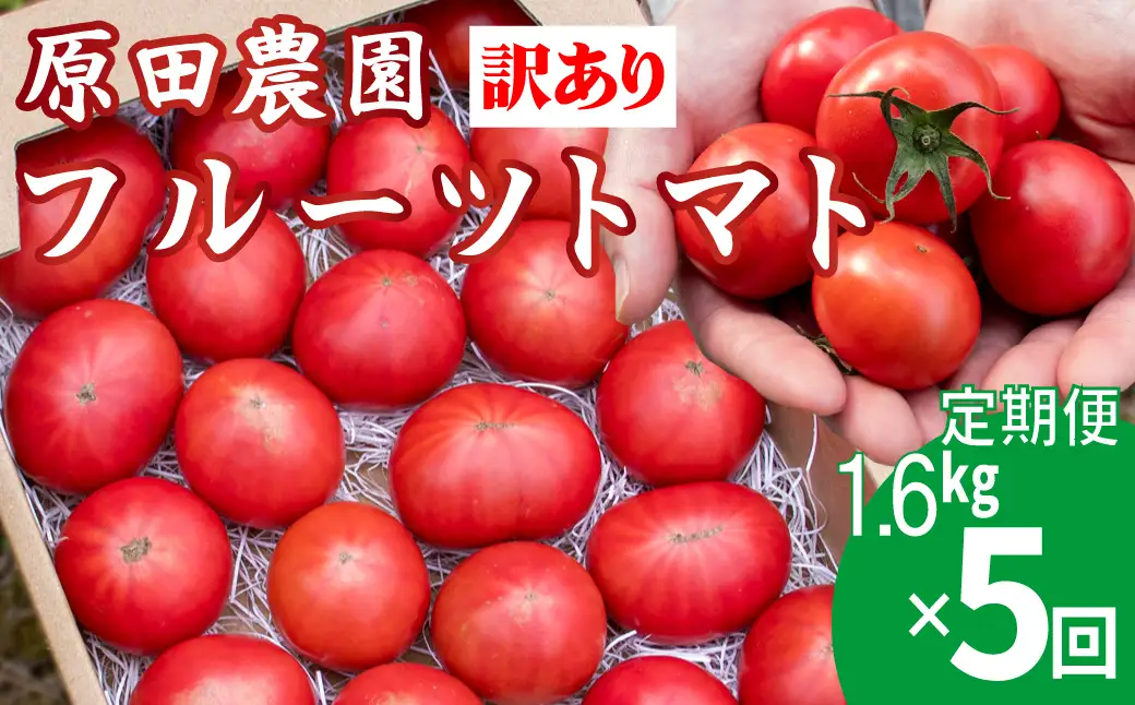 【ふるさと納税】〈2026年12月下旬～順次発送〉訳あり 5回 定期便 フルーツトマト 原田農園＜1.6kg 箱入＞【先行予約受付中】桃太郎 【常温】送料無料 家庭用 ワケあり 変形 キズあり 高知県