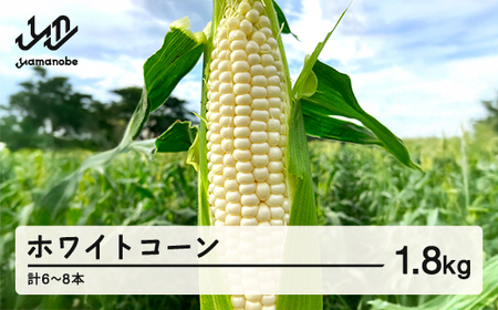 《先行予約》2026年 山形県産 ホワイトコーン ピュアホワイト 1.8kg(6〜8本）生で味わう 白とうもろこし トウモロコシ コーン 夏 野菜 やさい ※沖縄・離島への配送不可 F21A-243