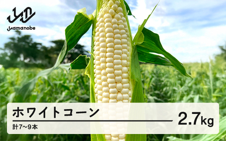 《先行予約》2026年 山形県産 ホワイトコーン ピュアホワイト 2.7kg(7~9本）生で味わう 白とうもろこし トウモロコシ コーン 夏 野菜 やさい ※沖縄・離島への配送不可 F21A-244