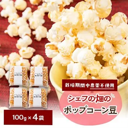 栽培期間中、農薬を使わず自家栽培　シェフの畑のポップコーン豆　100g×4袋(20食分)_菓子・スイーツ 洋菓子  _【1550980】