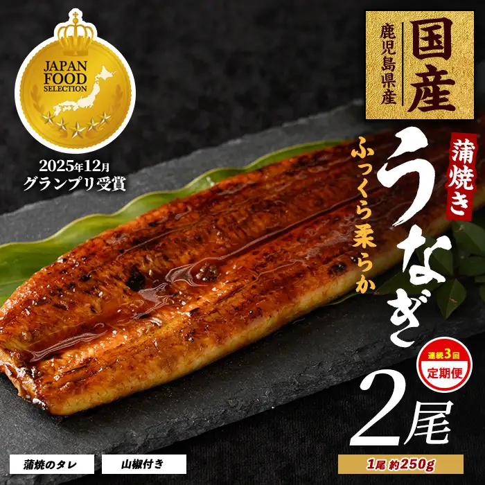 全３回定期便･連続お届け 鹿児島県産 うなぎ 蒲焼 じっくり焼き約250g×2尾 大新 IBZ021-003 定期便 定期便