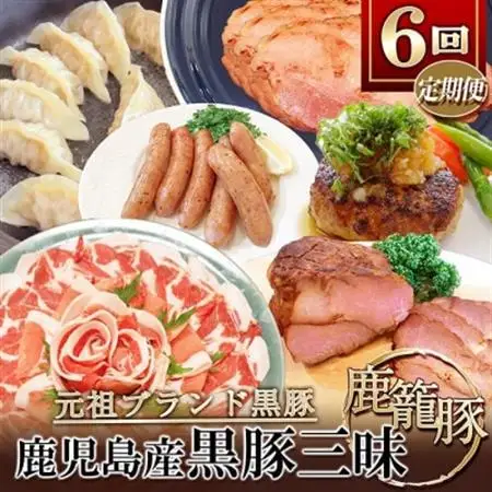 【発送月固定定期便】鹿児島県産黒豚三昧Bセット GG5-0001全6回_肉 ハム 豚肉   肉 しゃぶしゃぶ 牛肉 牛しゃぶ  肉  牛肉   肉 しゃぶしゃぶ 豚肉 豚しゃぶ  肉 ハンバーグ 豚肉   肉 ソーセージ・ウインナー 豚肉   肉  豚肉   惣菜・加工品 餃子  ぎょうざ ギョウザ  定期便 定期便  _【配送不可地域：離島】【4057557】