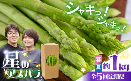 【5回定期便】【星のアスパラ】春＆夏 の グリーン アスパラガス 約1kg / アスパラ 春野菜 野菜 / 南島原市 / ほしのYA[SEY017]