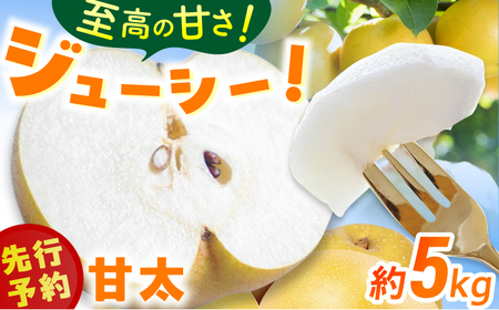 【★先行予約★ 2026年9月中旬より発送】梨（甘太）約5kg /  なし 果物 梨 フルーツ[AFAB061]