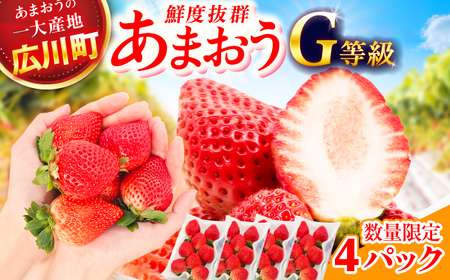 【★先行予約★ 2027年2月より発送】いちご（あまおう）G等級 2ケース（270g×4パック） / いちご 苺 イチゴ[AFAB070]