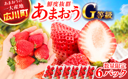 【★先行予約★ 2027年2月より発送】いちご（あまおう）G等級 3ケース（270g×6パック） / いちご 苺 イチゴ[AFAB071]