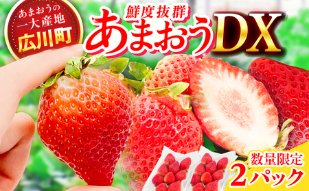 【★先行予約★ 2027年2月より発送】いちご（あまおう）DX等級 1ケース（270g×2パック） / いちご 苺 イチゴ[AFAB072]